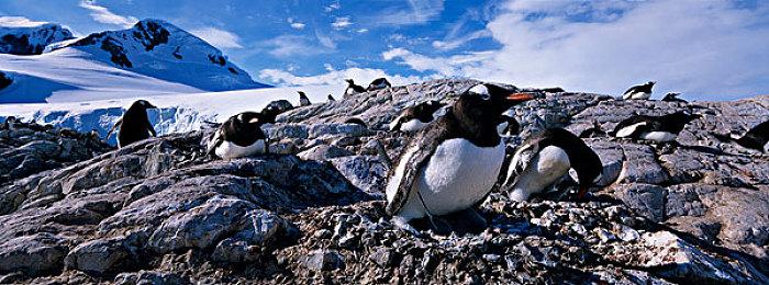 《地下城与勇士：决斗》PS4＆PS5 BETA公测时间公布